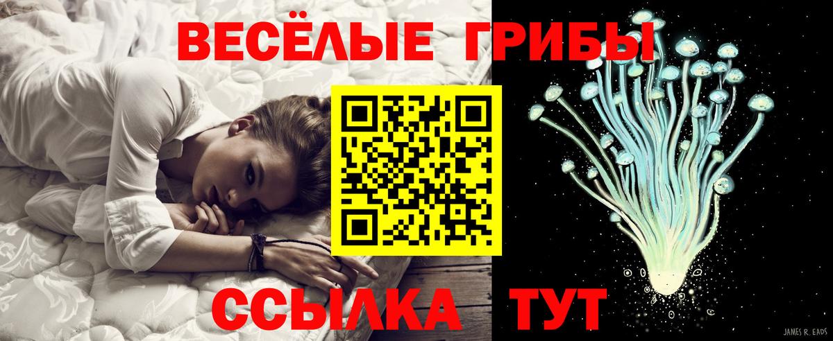 магазин продажи   Псилоцибиновые грибы Psilocybine cubensis  Вход с VPN  Новоалтайск 